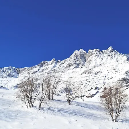 Maison Carrel Elegant 2 شقة بيريوِل تْشيرفينيا